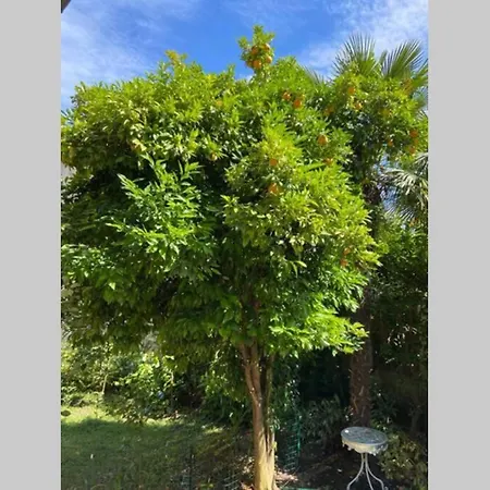 Casa Arancio Giardino Privato Baveno